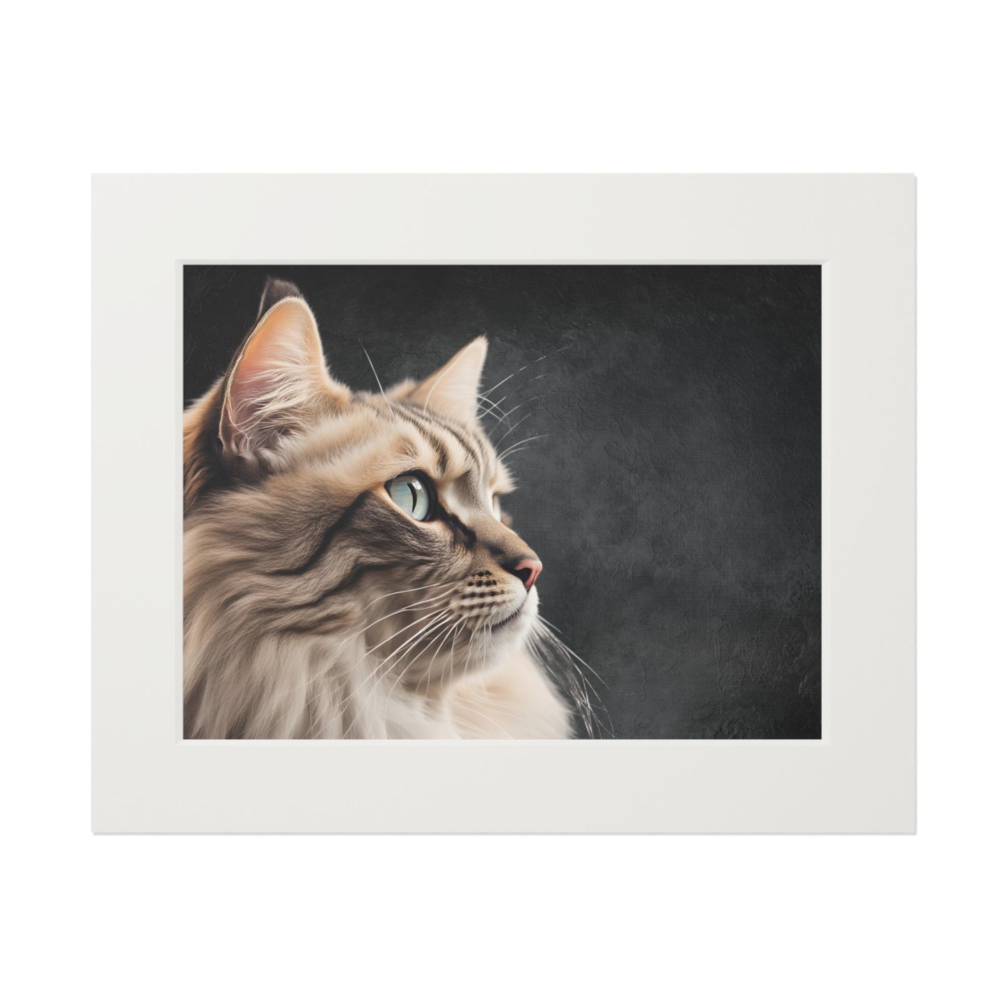Gray Kitty Fine Art Print with Passepartout Frame Printify