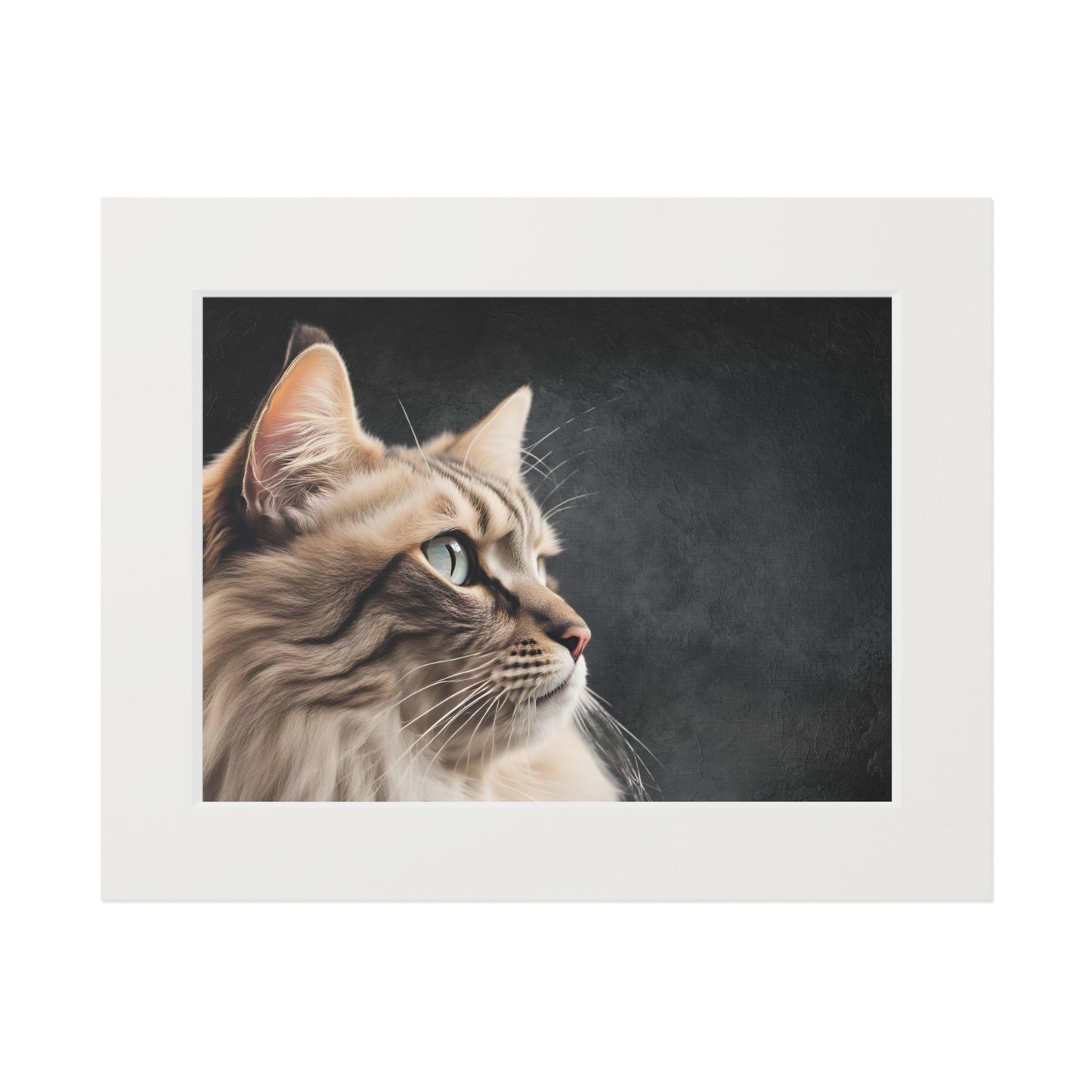 Gray Kitty Fine Art Print with Passepartout Frame Printify
