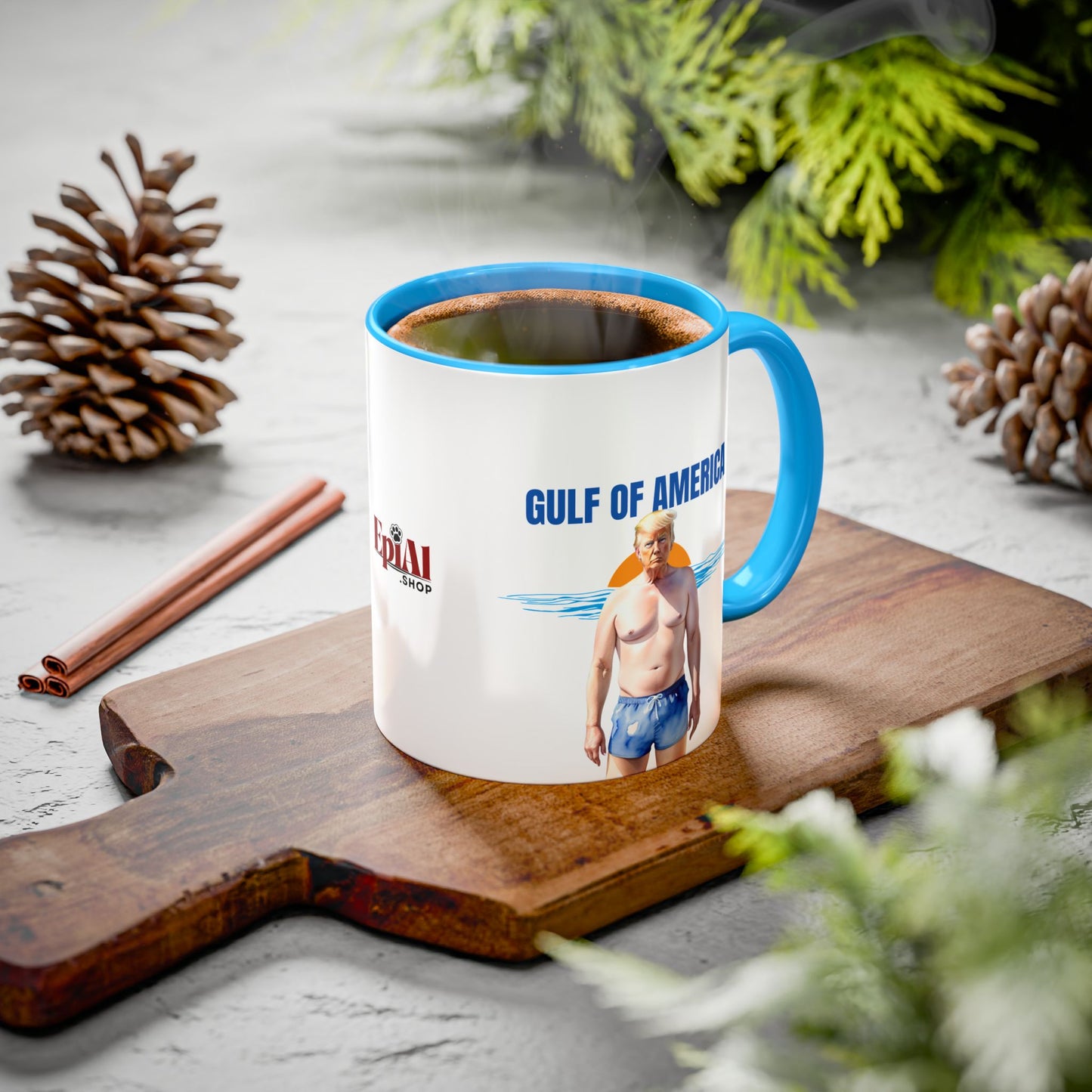 Humorous Gulf of America Mug (11oz & 15oz)