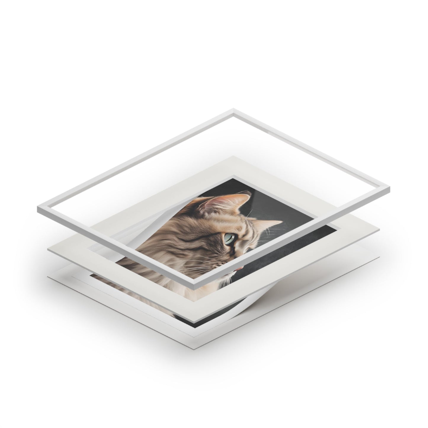 Gray Kitty Fine Art Print with Passepartout Frame Printify