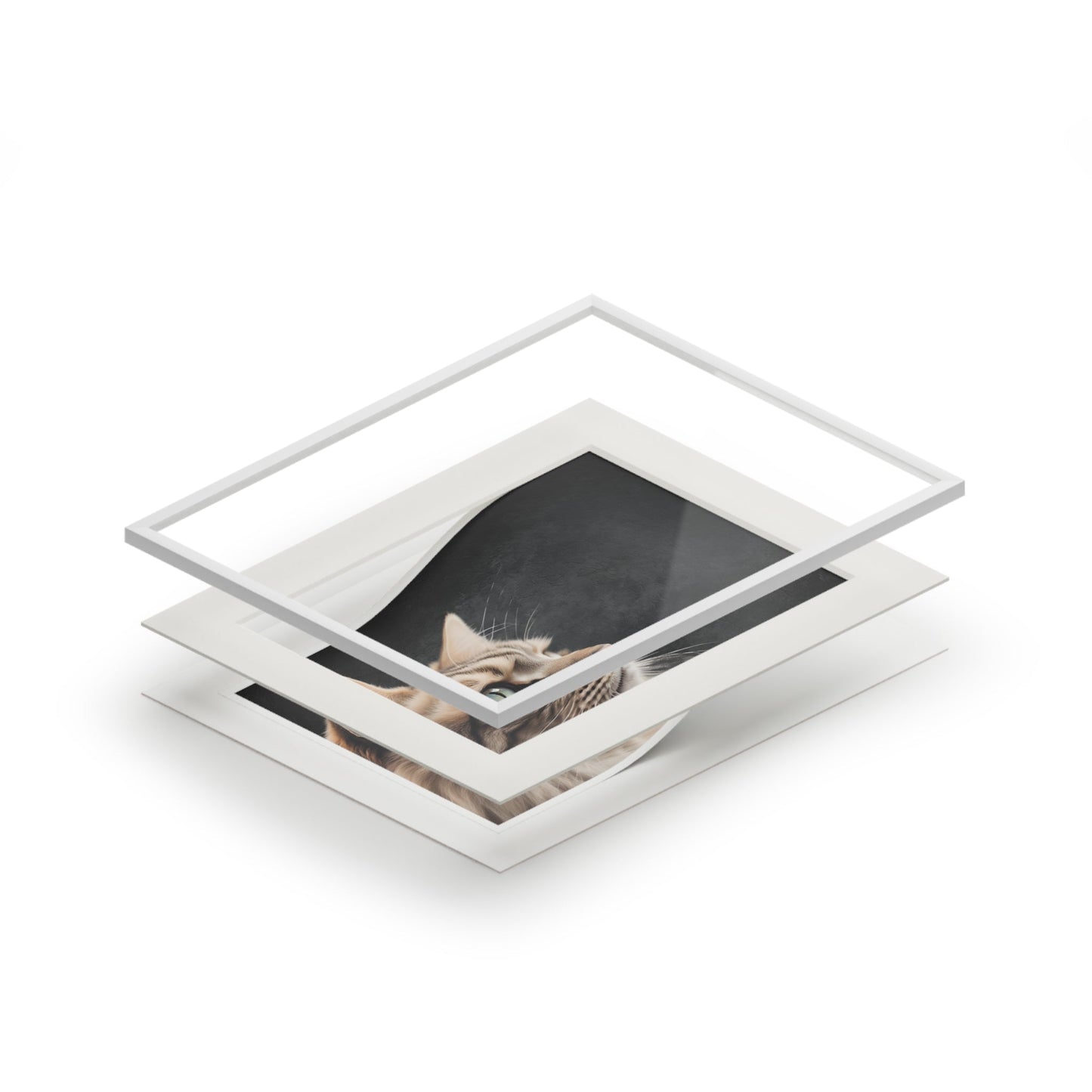 Gray Kitty Fine Art Print with Passepartout Frame Printify