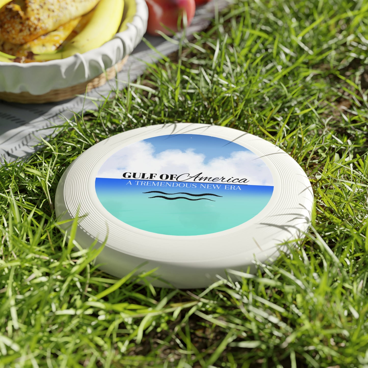 Gulf of America Tremendous New Age Frisbee