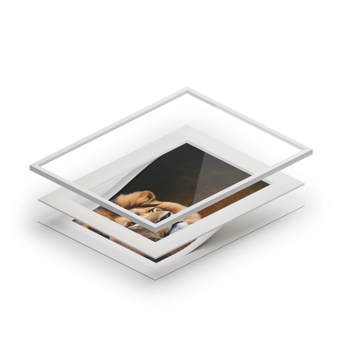 Majestic Lion Fine Art Print with Passepartout Frame Printify