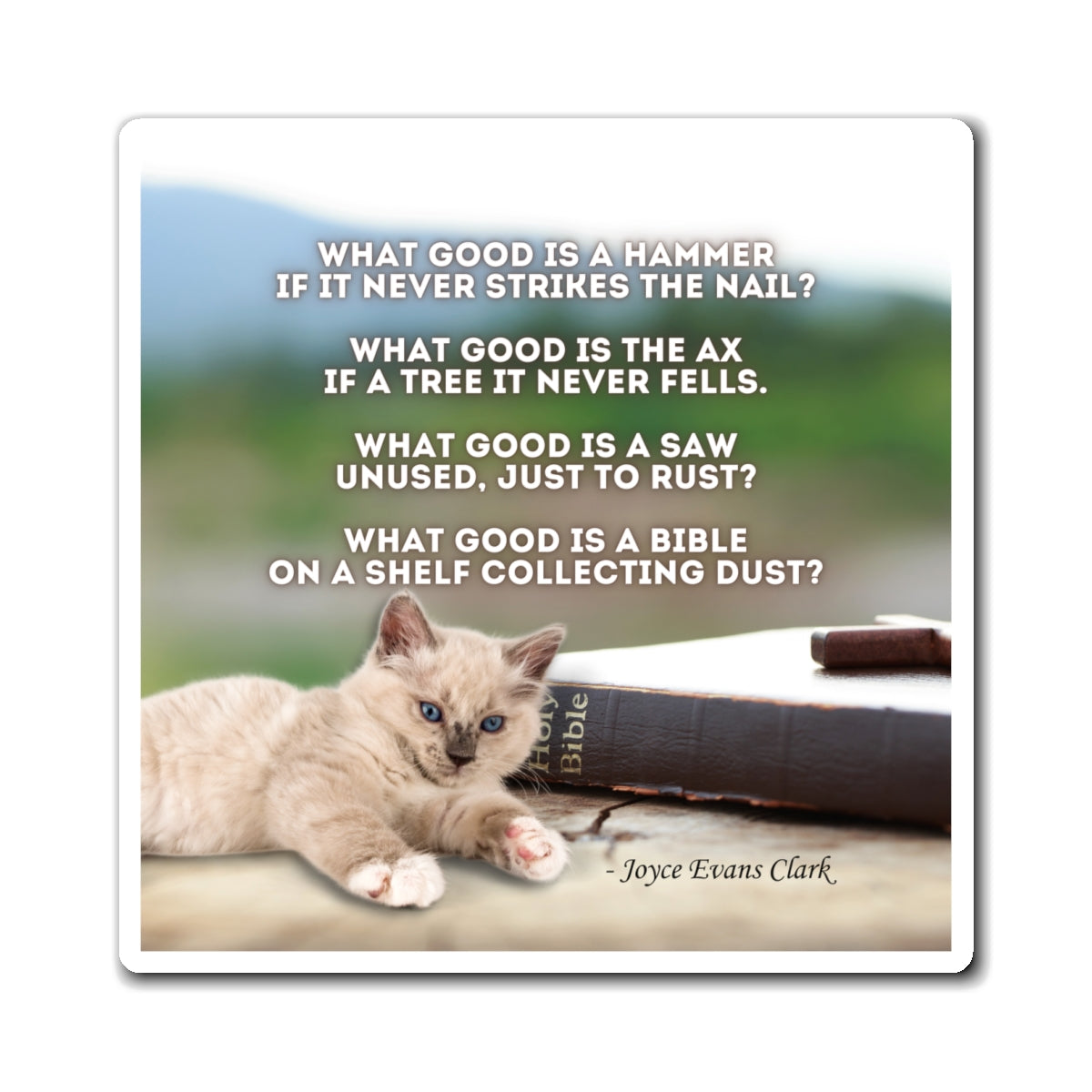 Photo depicting the Dusty Bible Magnets from EpiAl's Shop.