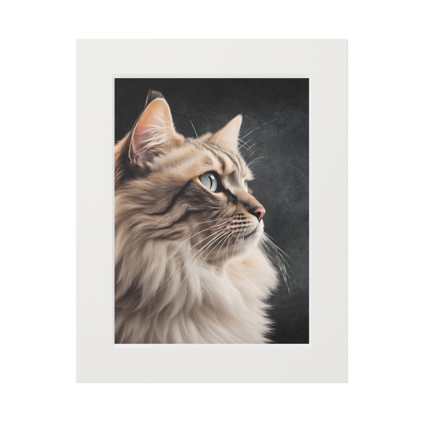 Gray Kitty Fine Art Print with Passepartout Frame Printify