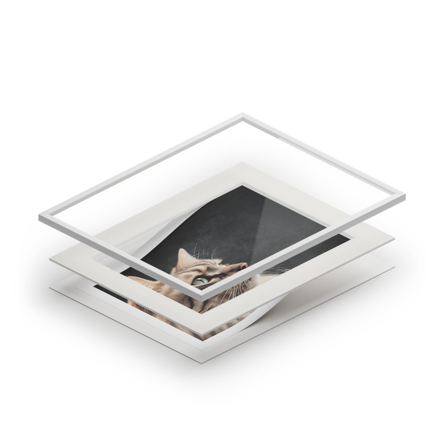 Gray Kitty Fine Art Print with Passepartout Frame Printify