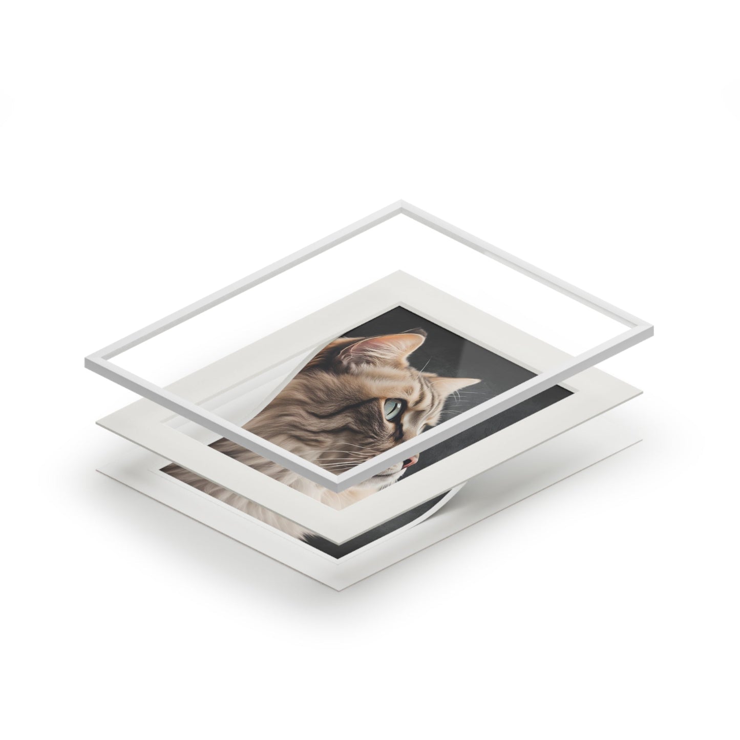 Gray Kitty Fine Art Print with Passepartout Frame Printify
