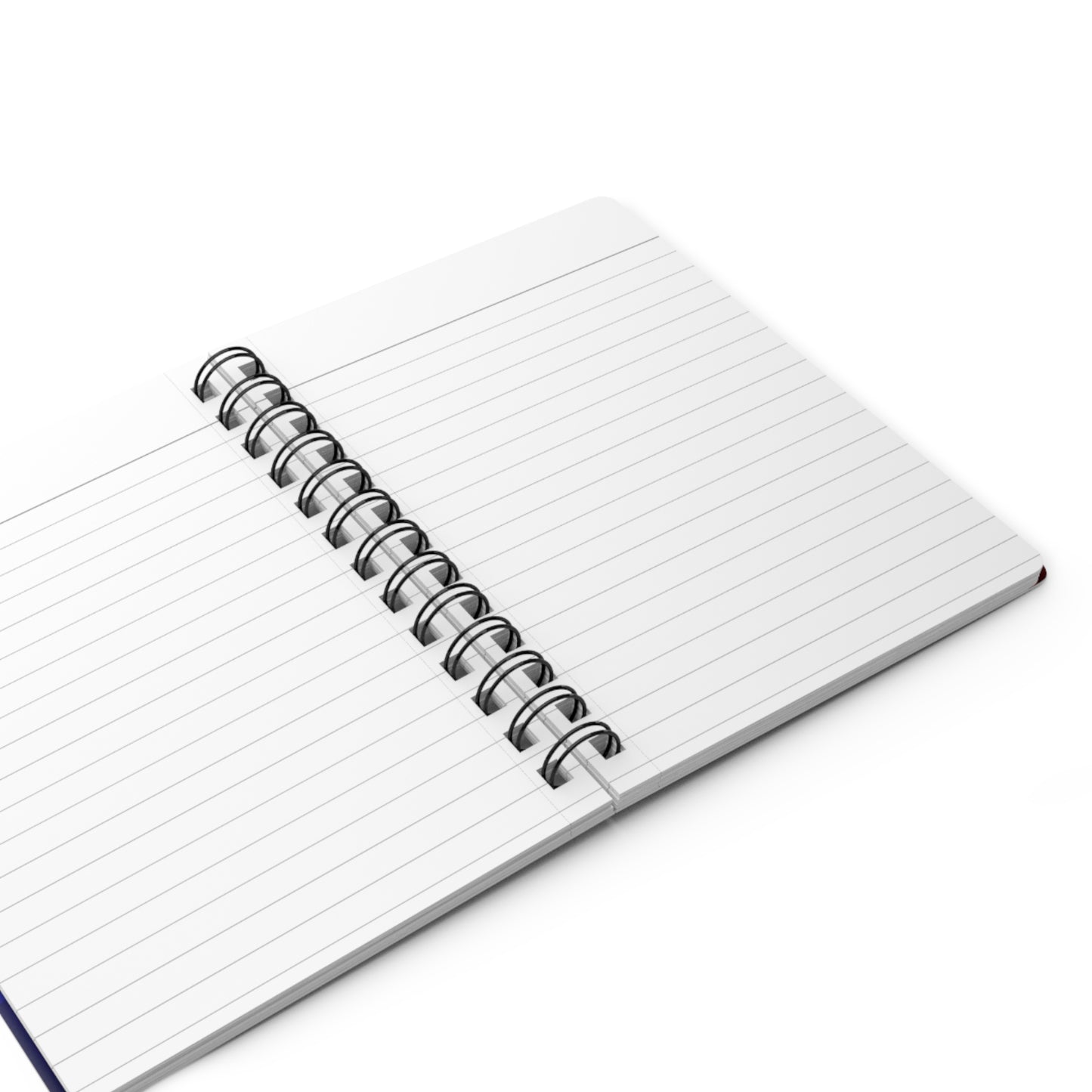 My Life Under Trump's Triumphant Second Term Spiral Bound Journal