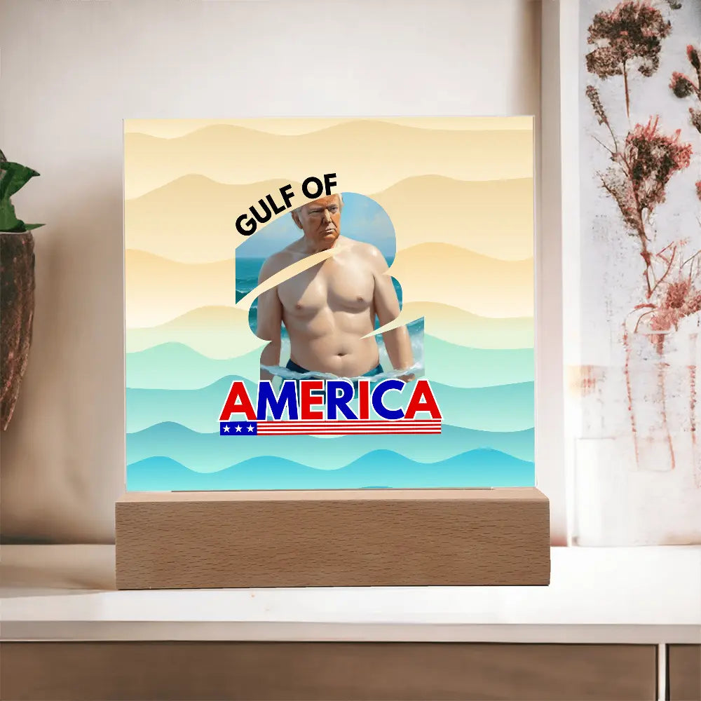 Trump's Gulf of America ShineOn Fulfillment