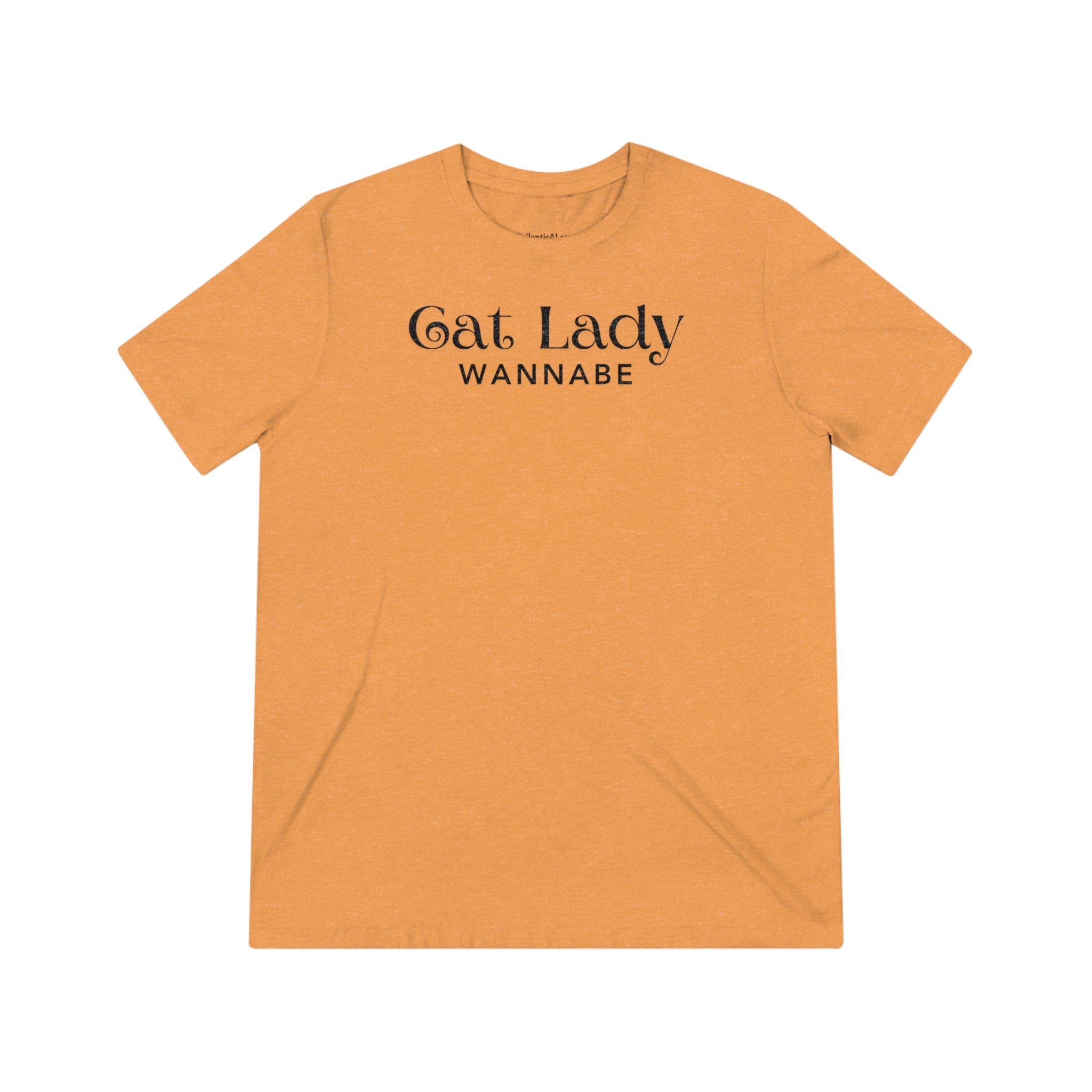 Cat Lady Wannabe Triblend Tee - T - Shirt - Epileptic Al’s Shop