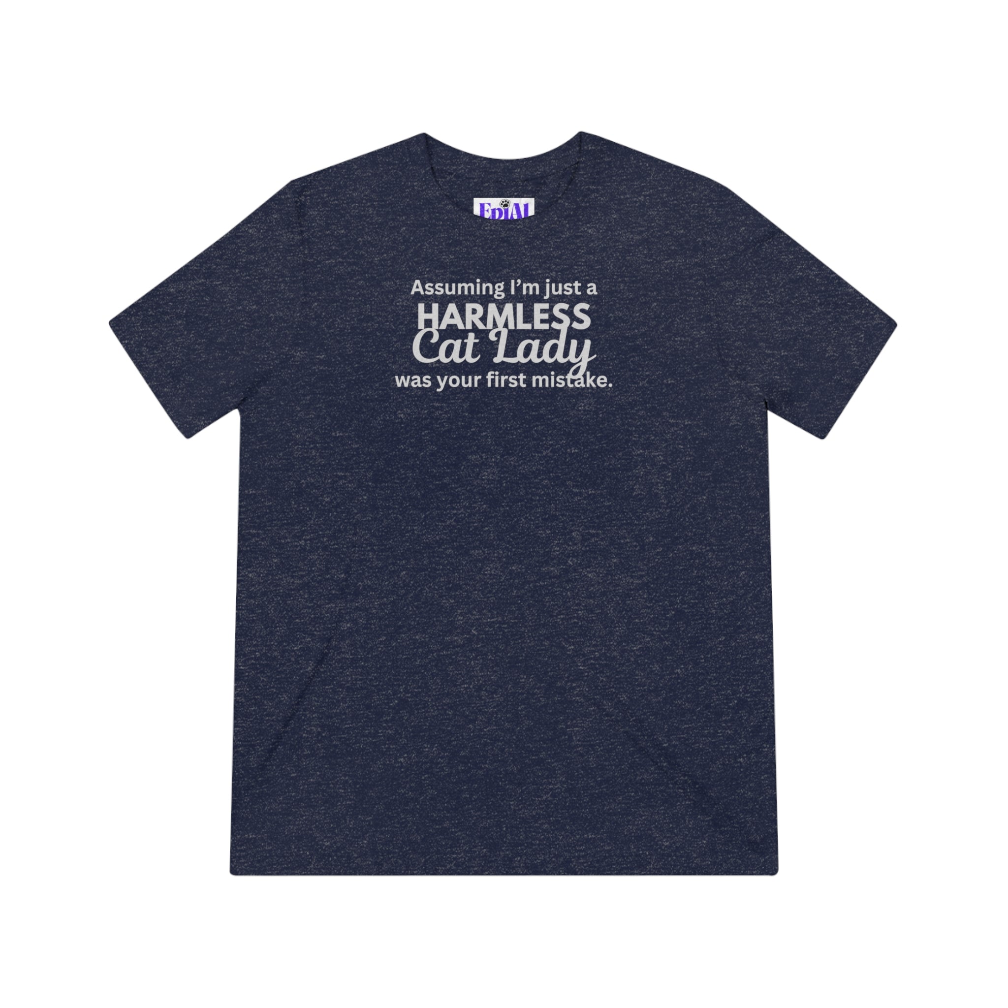 Harmless Cat Lady Triblend Tee - T - Shirt - Epileptic Al’s Shop