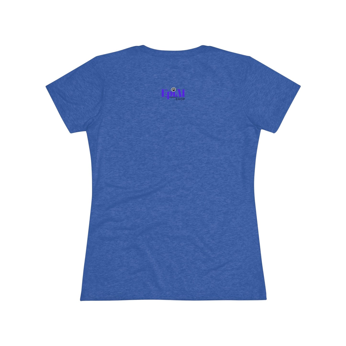 I Talk to Cats Women's Triblend Tee - T - Shirt - Epileptic Al’s Shop