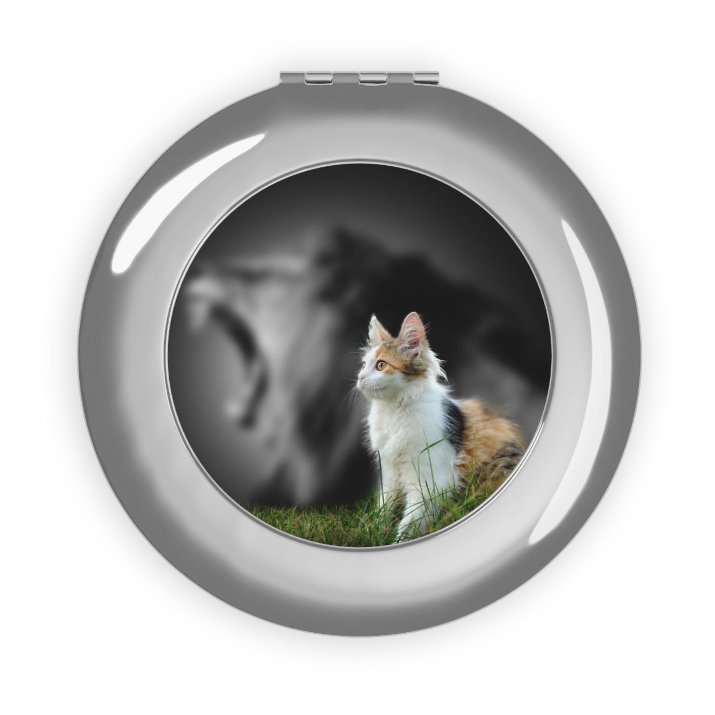 Lion Confidence Compact Travel Mirror - Accessories - Epileptic Al’s Shop