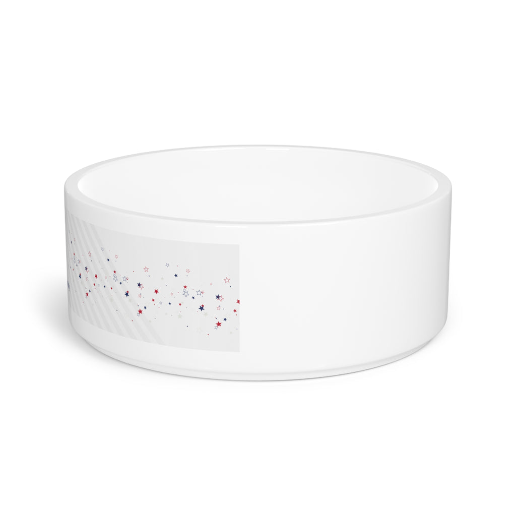 ICE – Independent Cat Entity Ceramic Cat Bowl | Political Parody