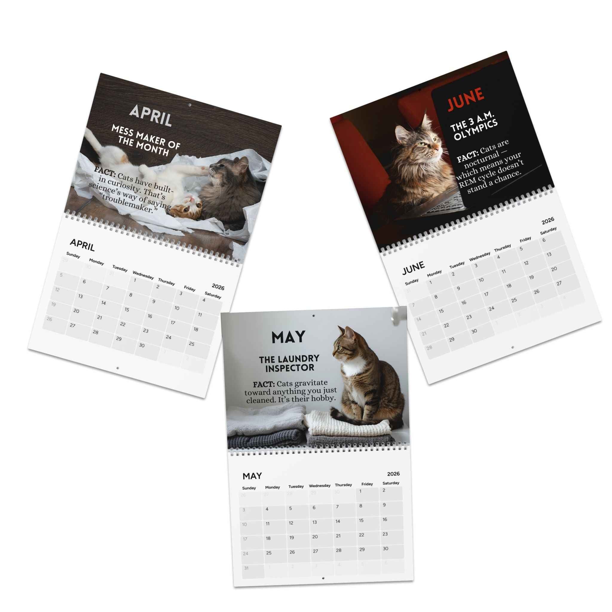 Twelve Months of Cat Chaos 2026 Calendar