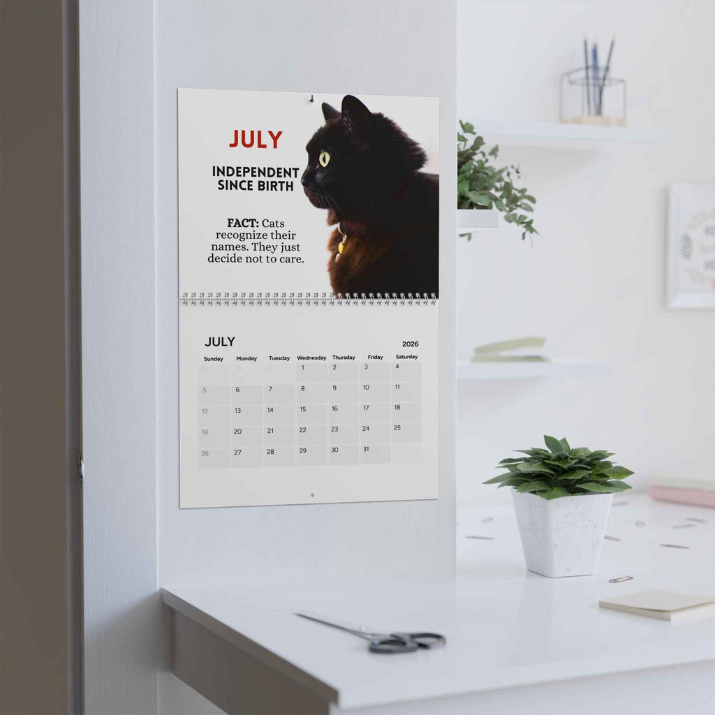 Twelve Months of Cat Chaos 2026 Calendar