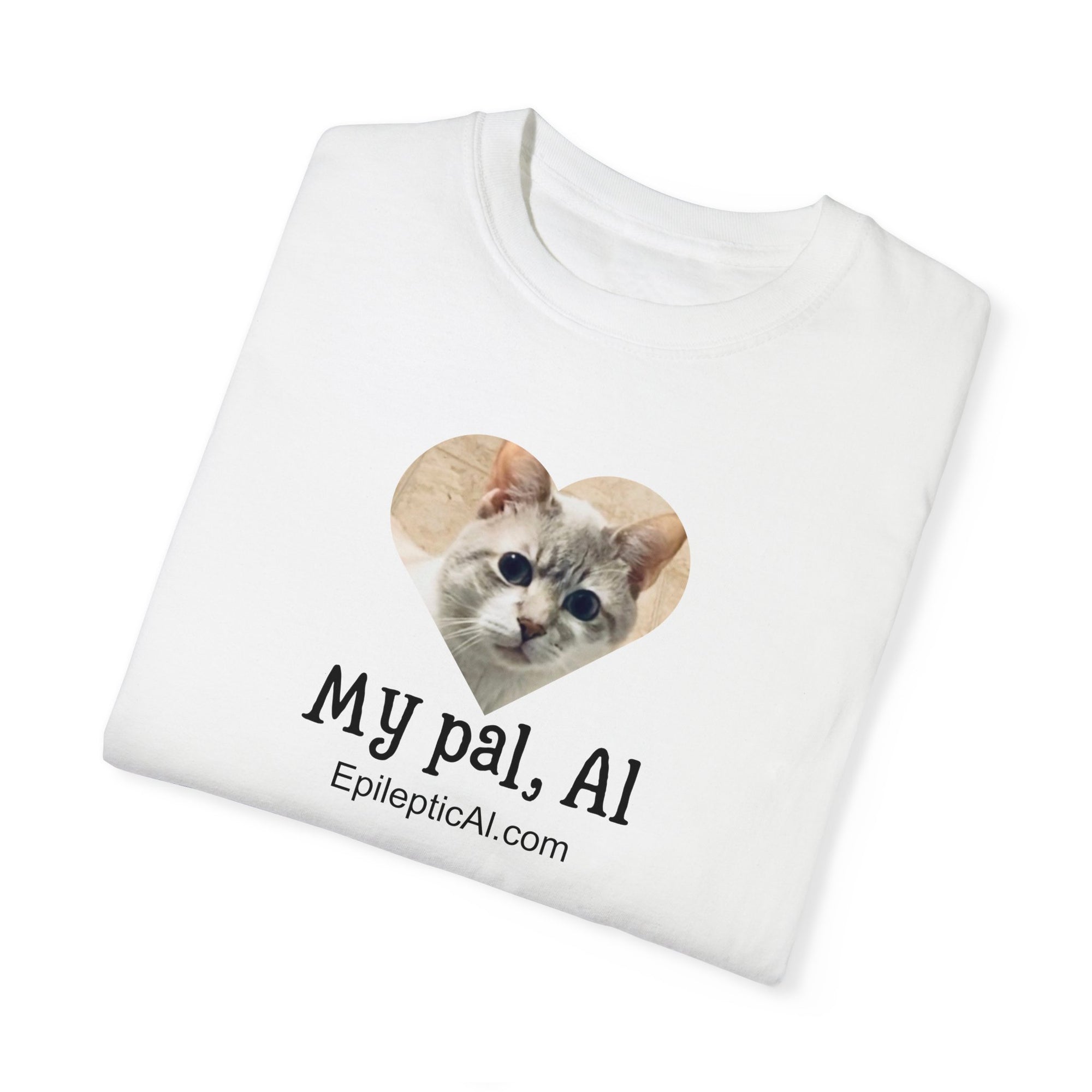 My Pal Al Unisex Garment - Dyed T - shirt - T - Shirt - Epileptic Al’s Shop