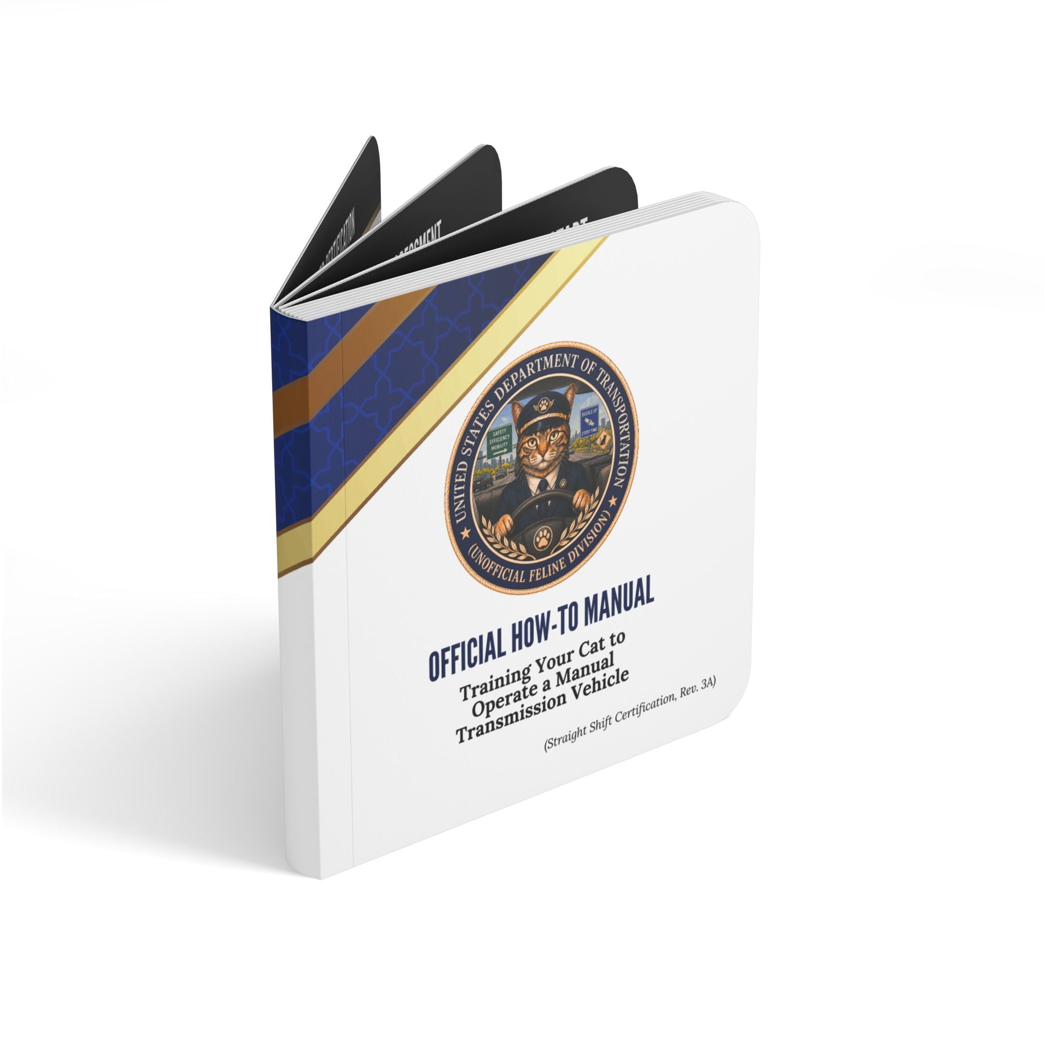 How to Teach Your Cat to Drive Stick | Absurd Board Book for Adults