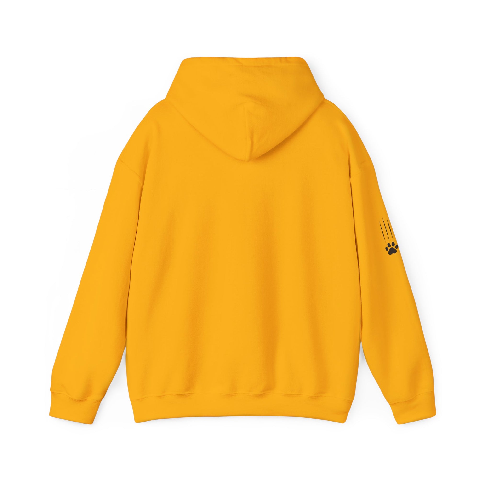 Cozy Halloween Witchy Cat Hoodie