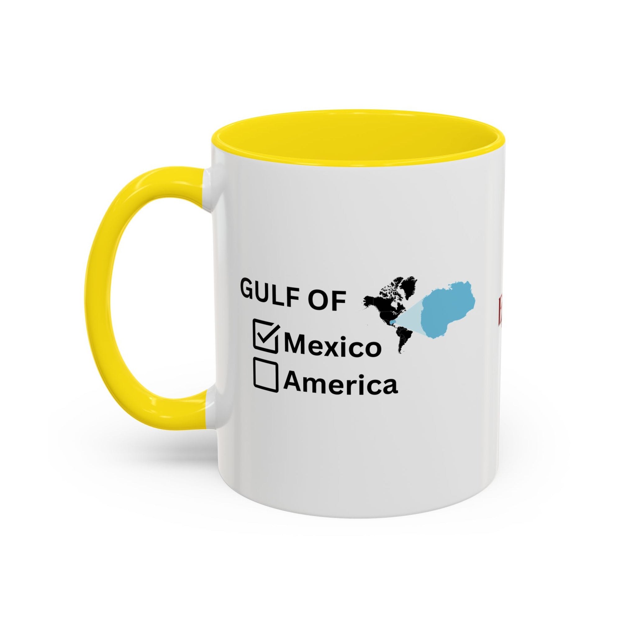 Gulf of Mexico Checkbox Accent Coffee Mug
