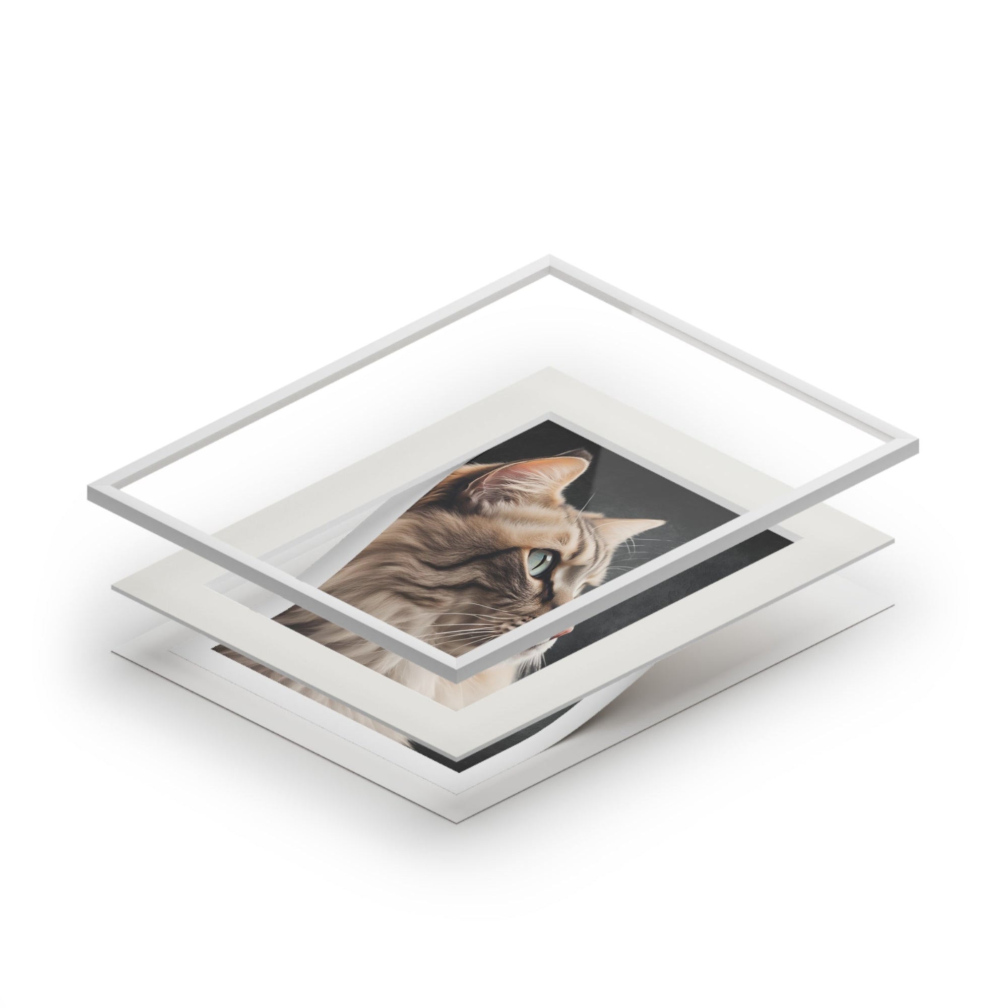 Gray Kitty Fine Art Print with Passepartout Frame Printify