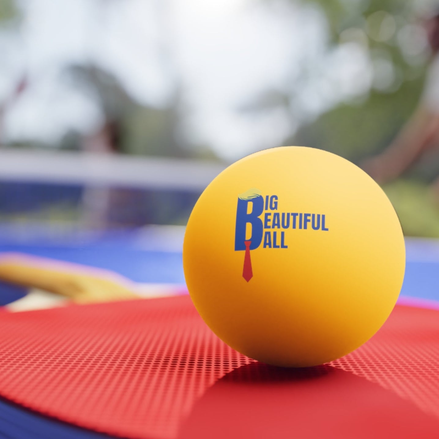 Big Beautiful Ball Ping Pong Gift Set