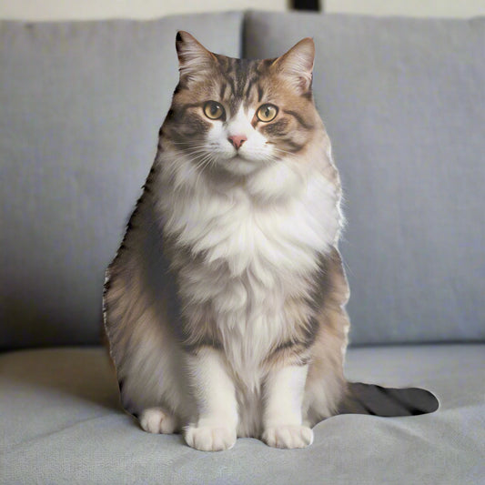 Snuggle Kitty Pillow