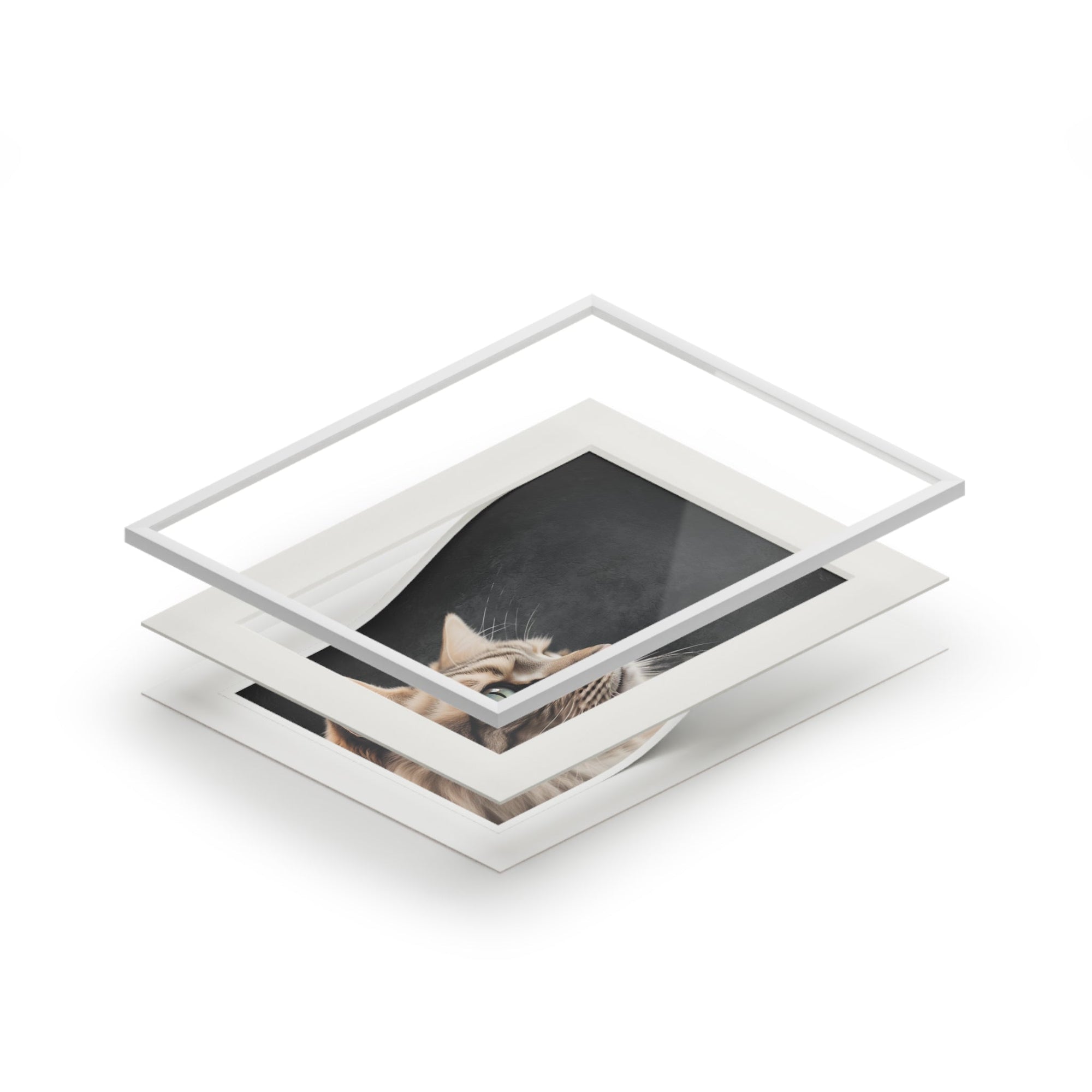 Gray Kitty Fine Art Print with Passepartout Frame Printify