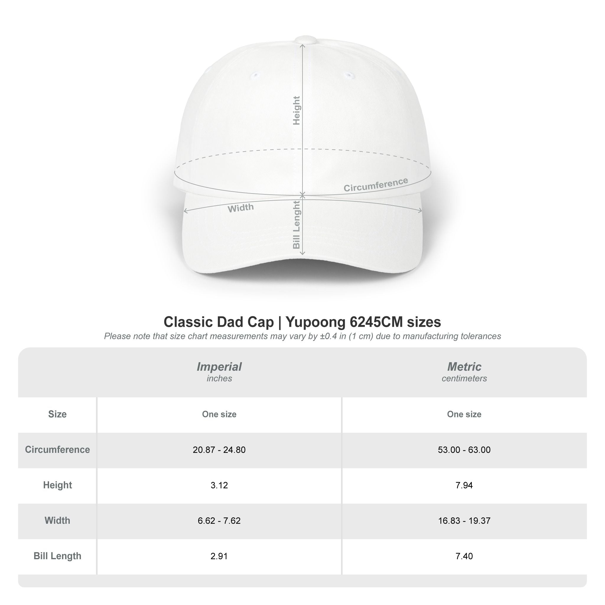 Emotionally Taxed Citizen Dad Hat | Minimalist Faux Government Seal Cotton Cap