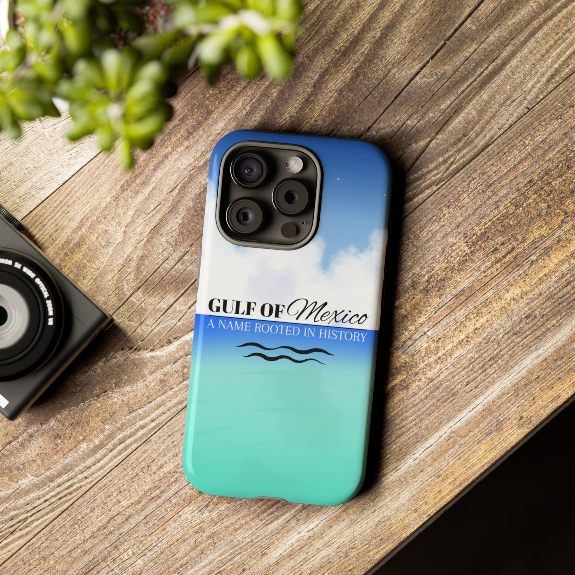 Gulf of Mexico Phone Case Printify