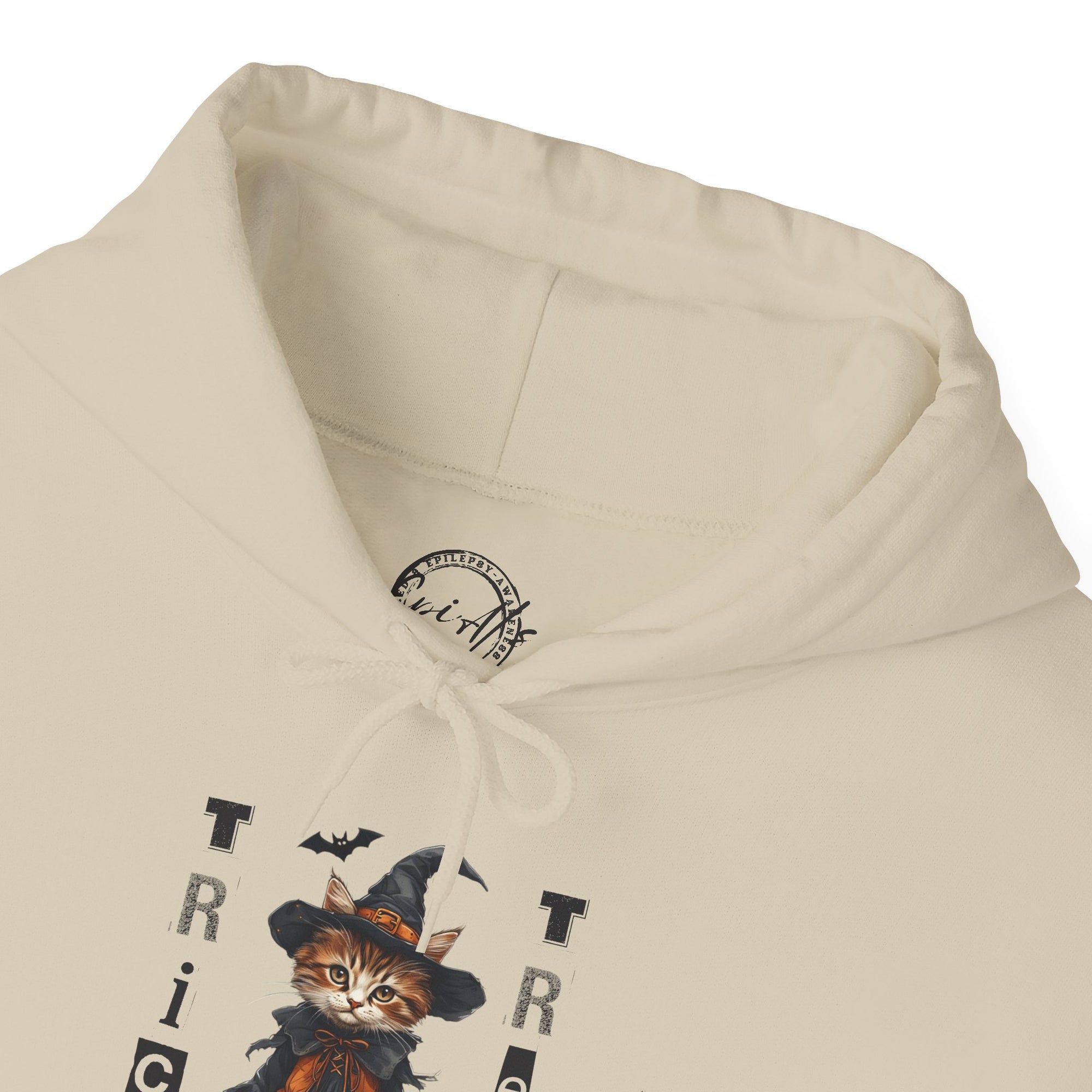 Cozy Halloween Witchy Cat Hoodie