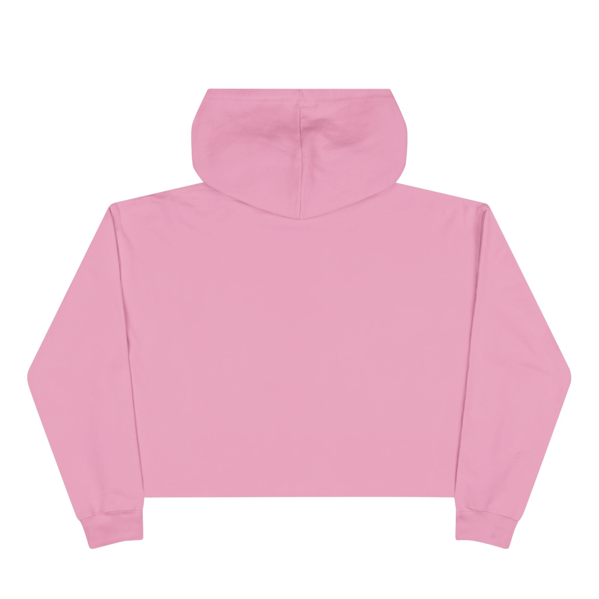 Emotionally Taxed Citizen Cropped Hoodie | Cozy Political Parody Fleece Hoodie