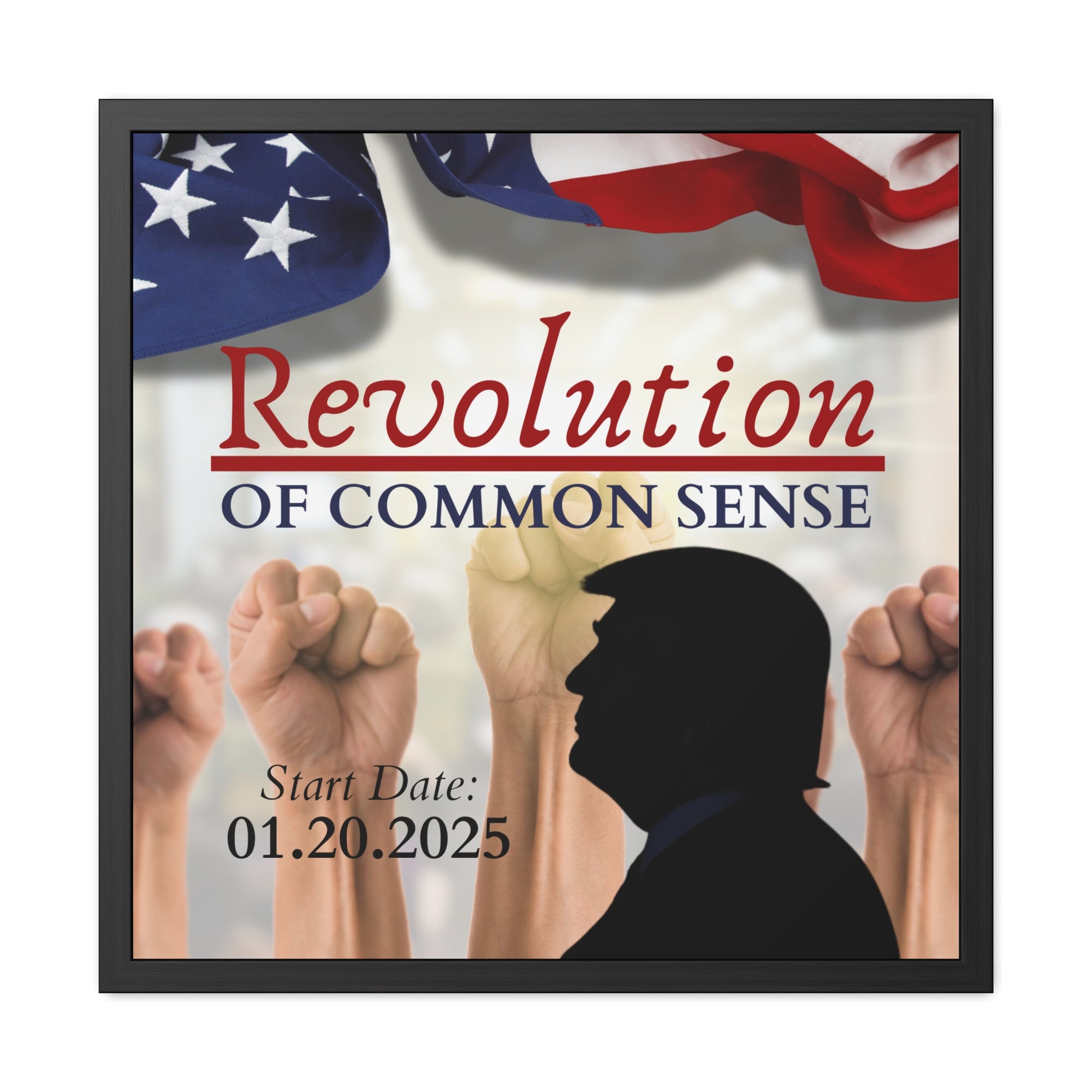 Trump Revolution of Common Sense Framed Posters