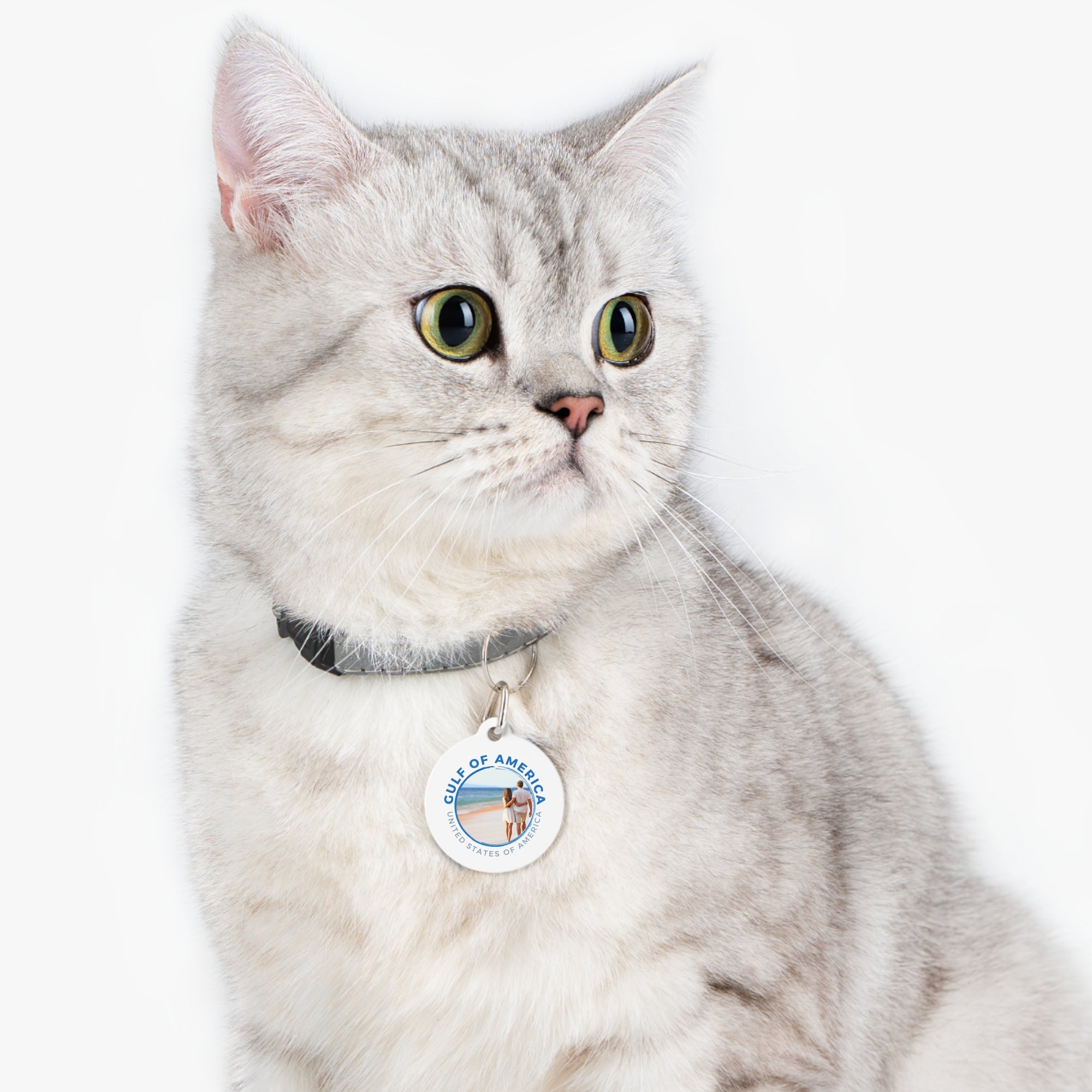 American Gulf Pet Tag