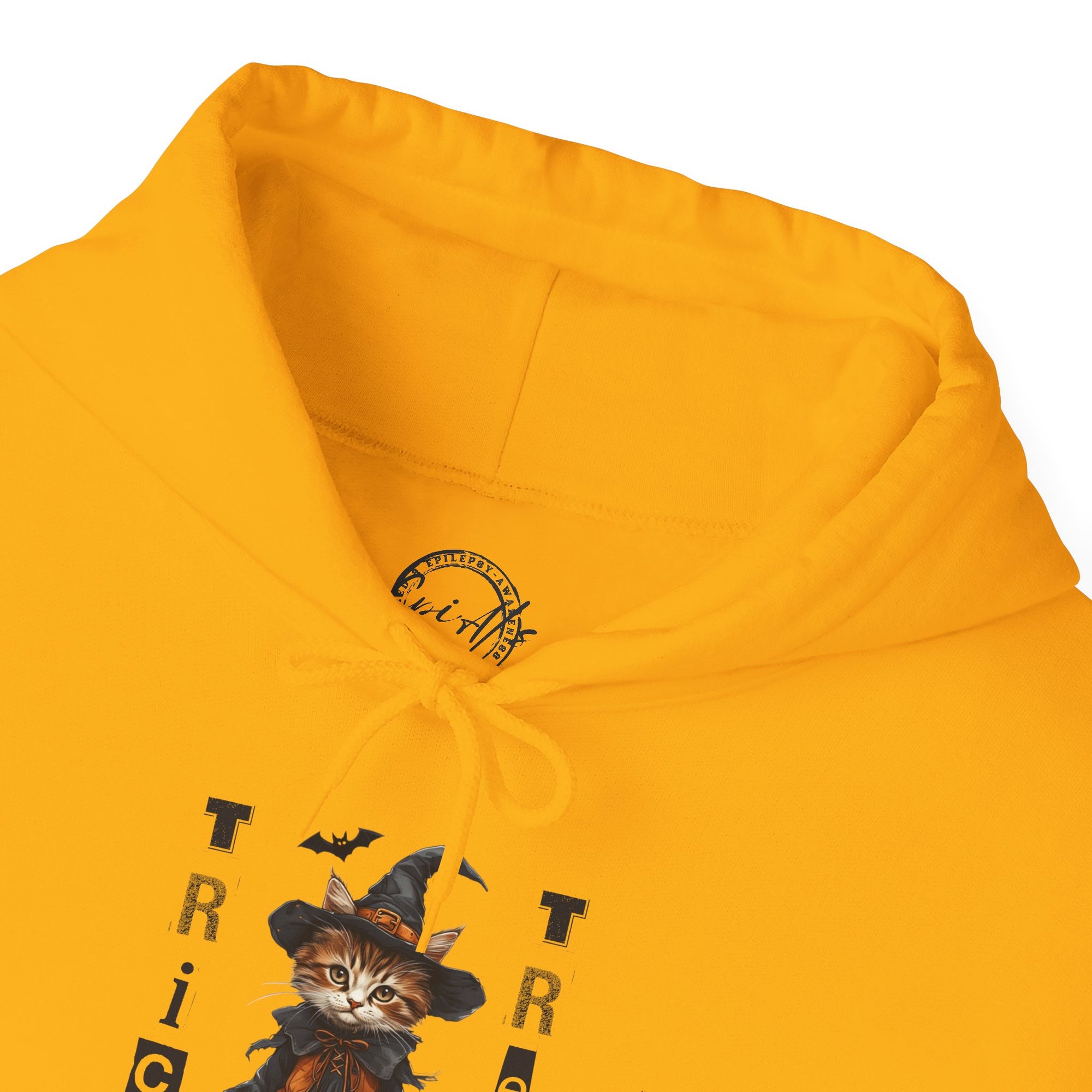 Cozy Halloween Witchy Cat Hoodie