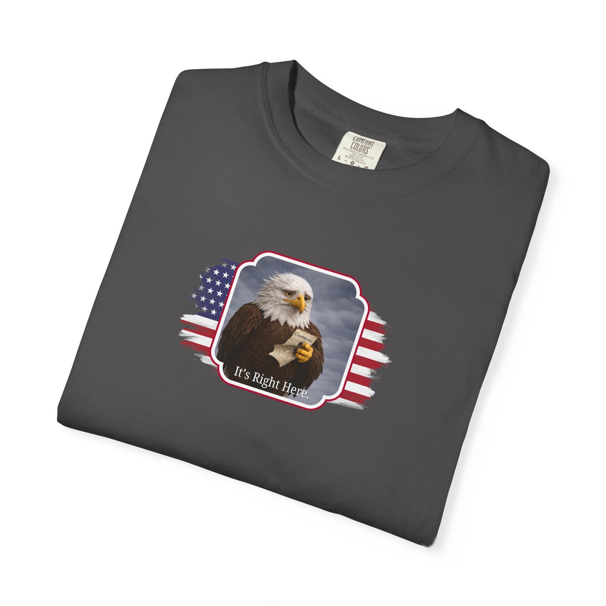 “It’s Right Here” Political Parody T-Shirt