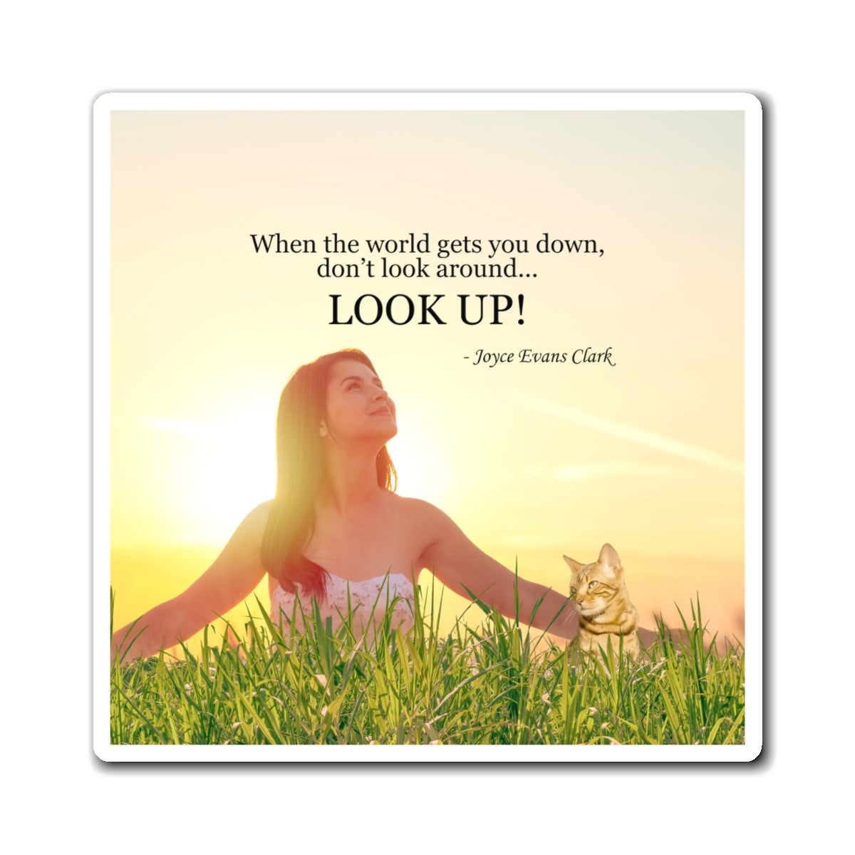 Don't Look Around - Look Up Magnets