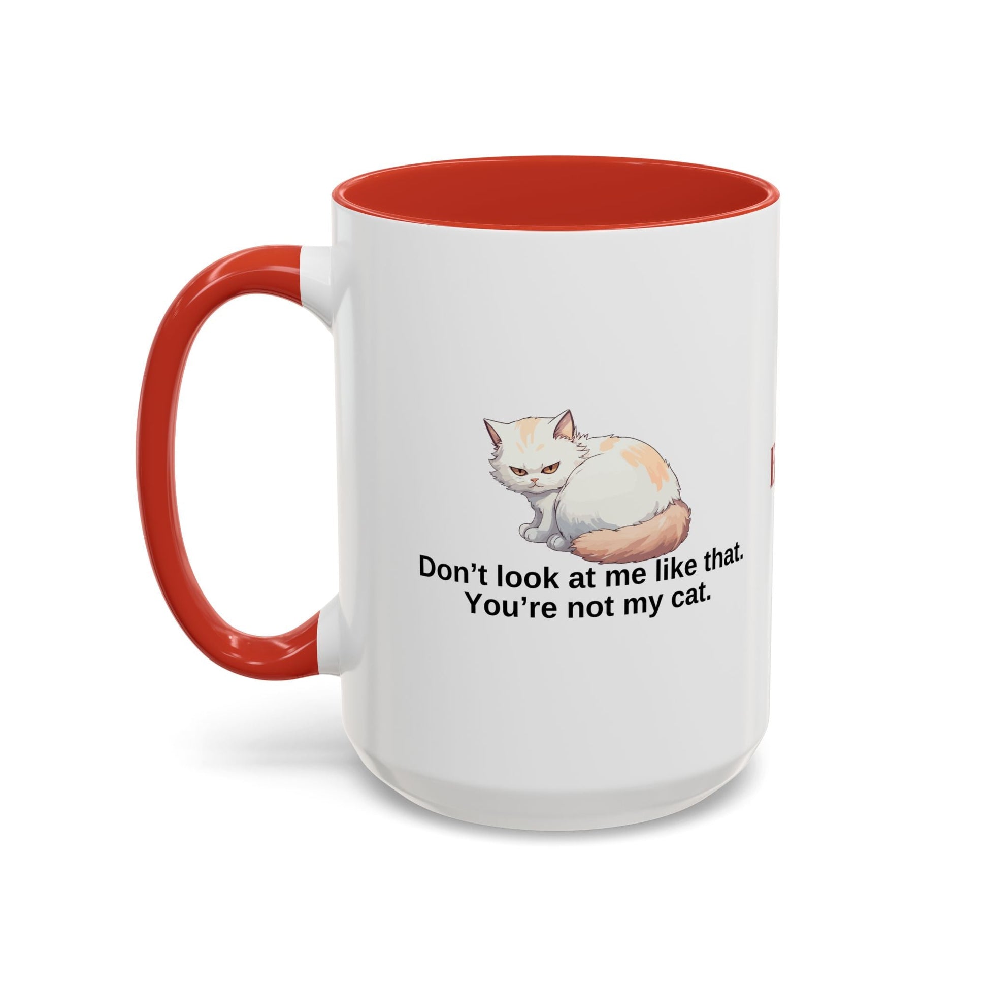 Humorous Cat Lover's Coffee Mug - 11/15oz Accent Mug Printify