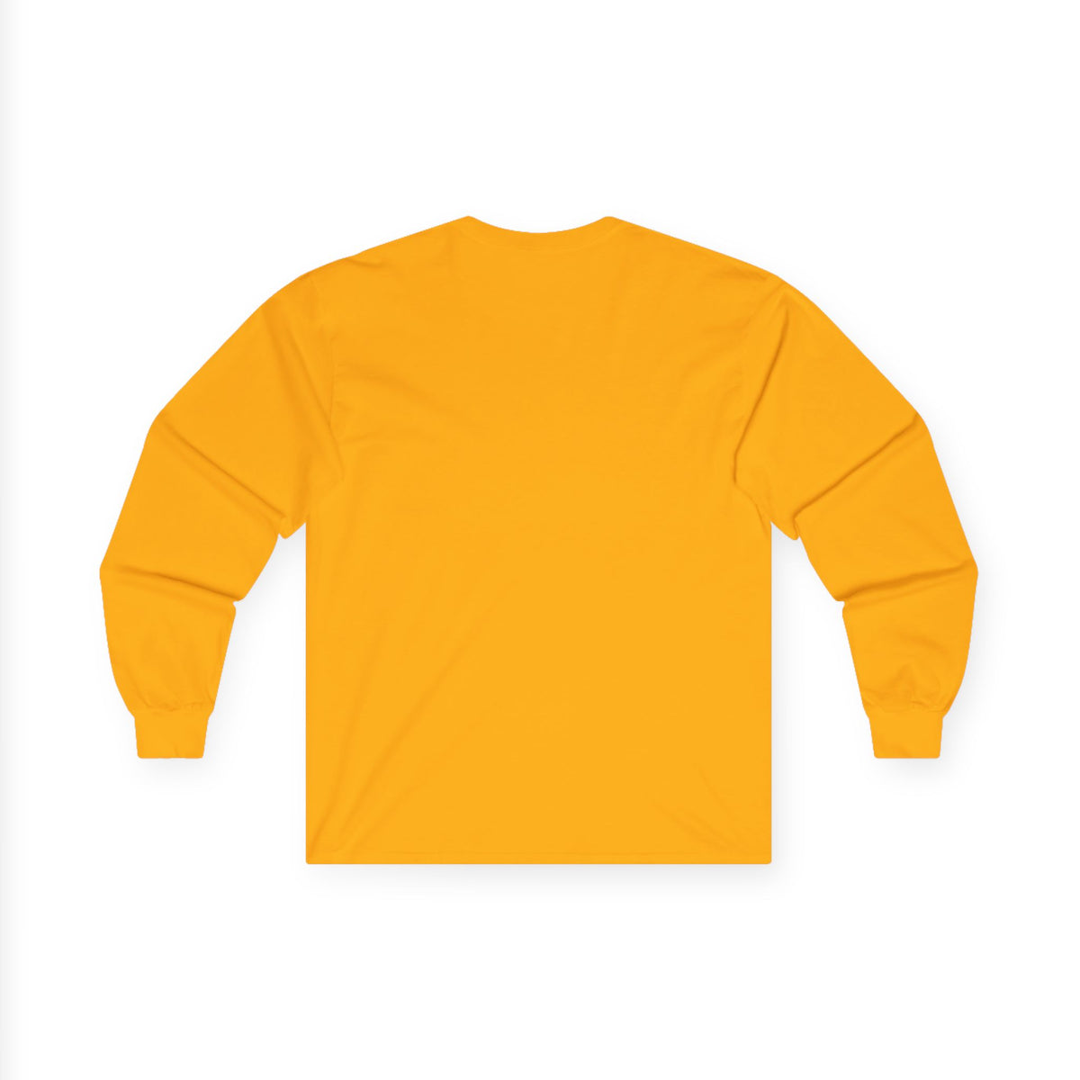 Uncharted Waters, Apparently Long Sleeve Tee | Lake Ontario Humor Shirt