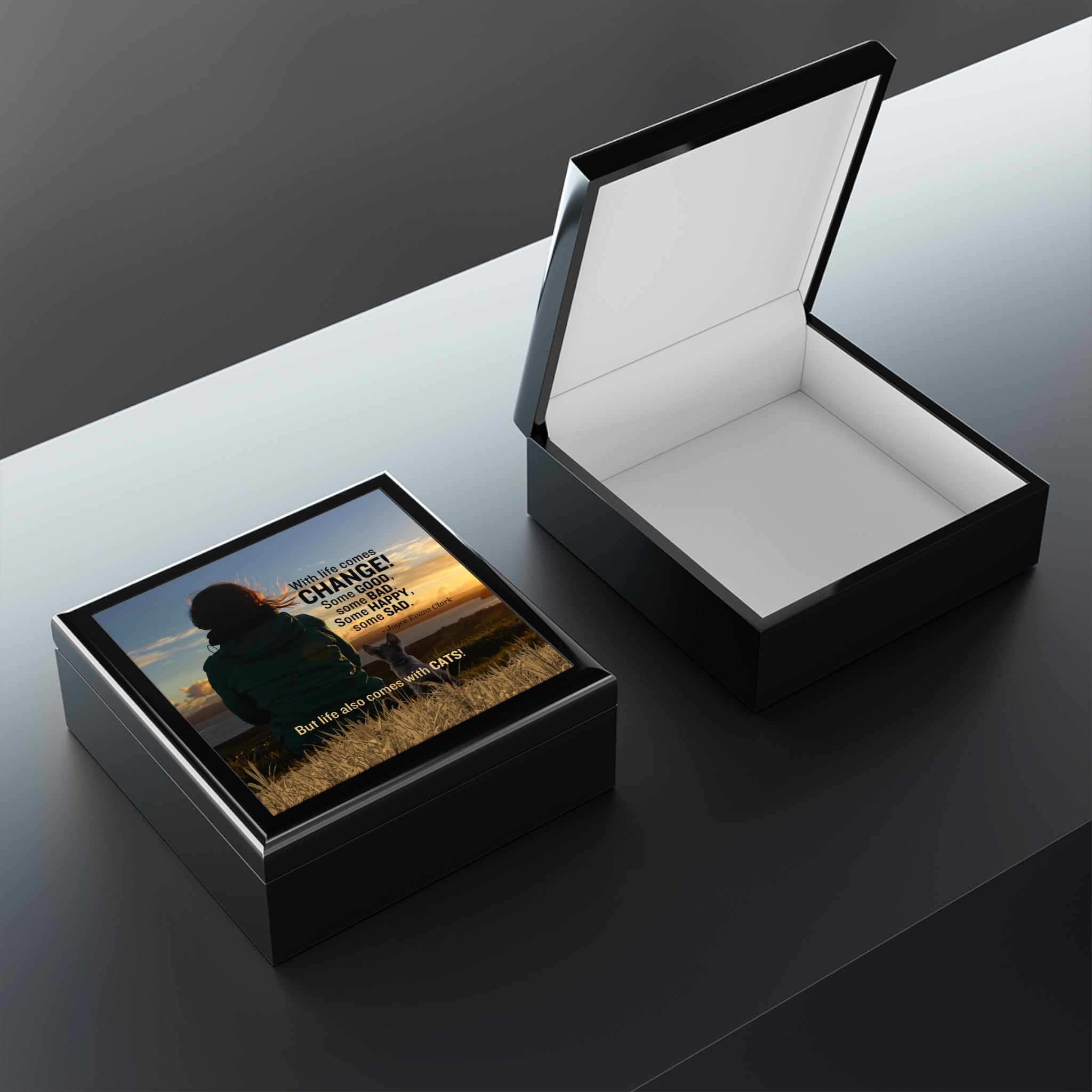 Photo depicting the ​Life Comes with Cats Jewelry Box from EpiAl's Shop.