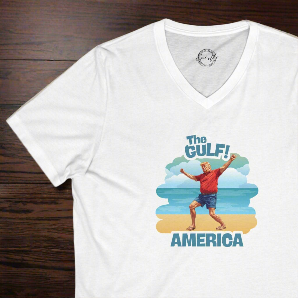 Gulf America V-Neck Tee