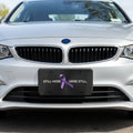 “Still Here. Here Still.” Epilepsy Awareness Vanity Plate – Purple Ribbon