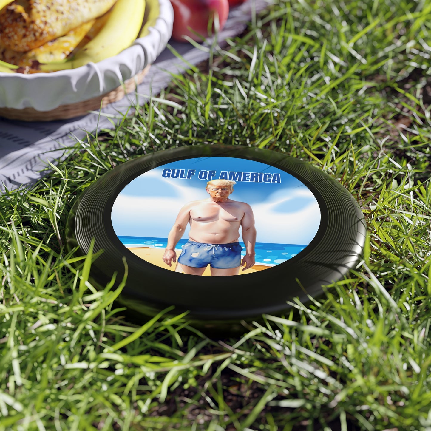 Gulf of America Frisbee - Fun Outdoor Flying Disc with Humorous Design