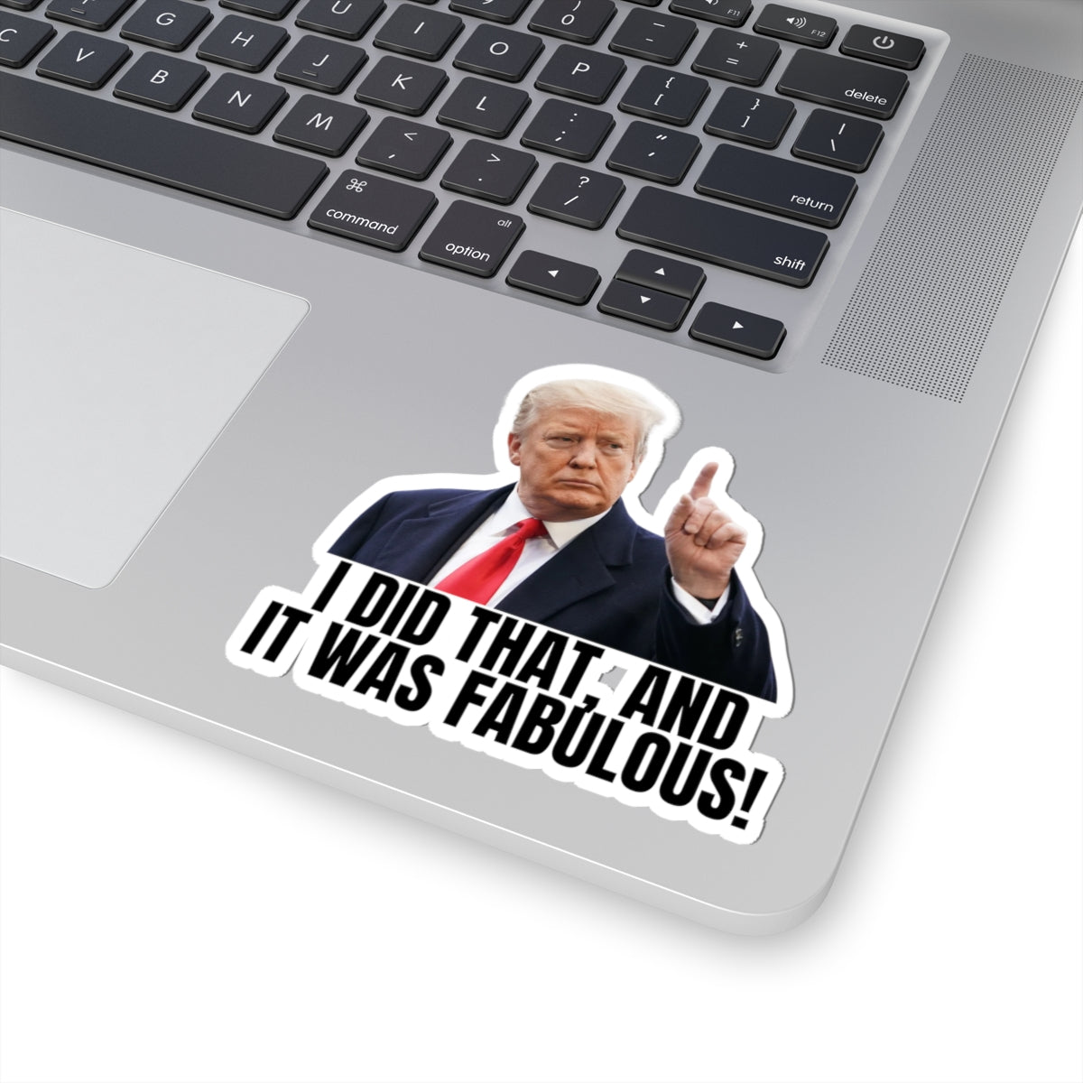 I Did That Kiss-Cut Stickers | Humor & Political Fun