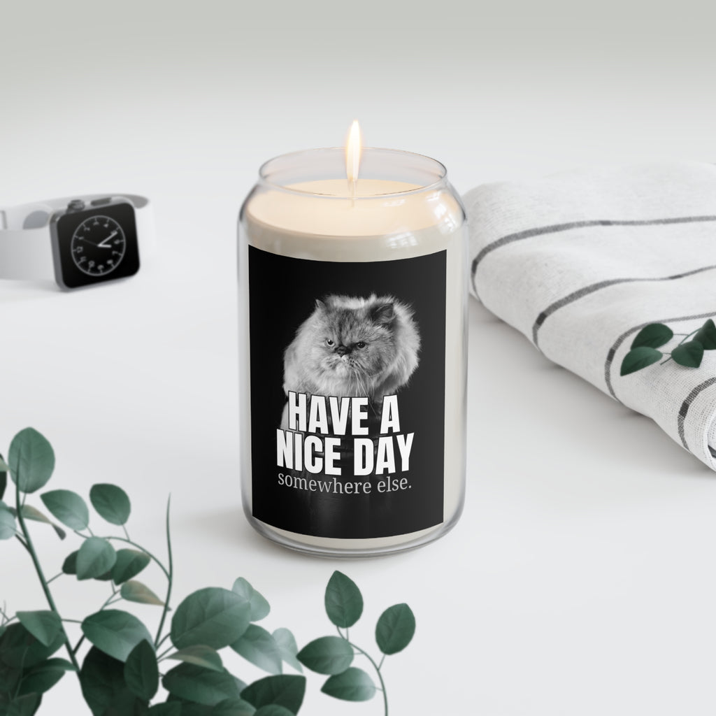 Have a Nice Day Scented Candle, 13.75oz