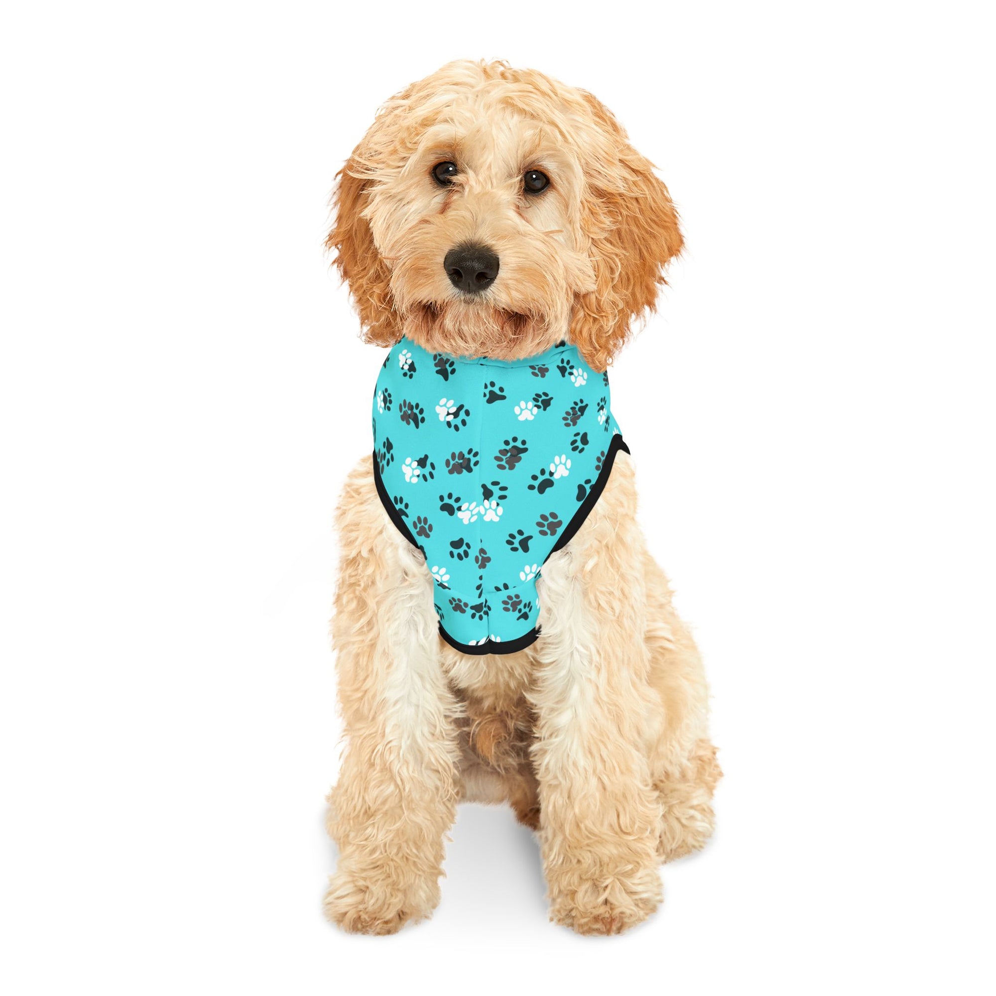 Teal Paw Prints Pet Hoodie