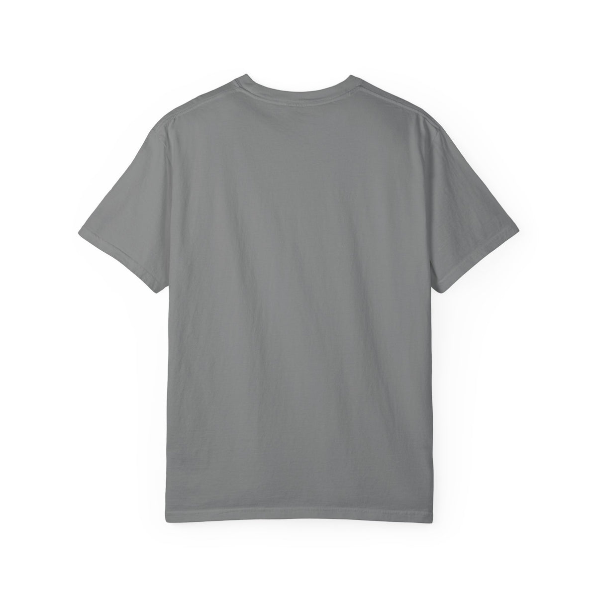 Aquatic Rebranding Department Garment-Dyed Unisex T-Shirt