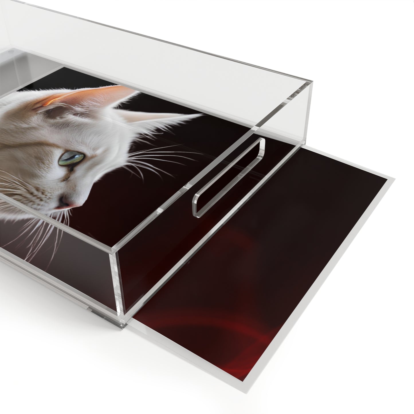 Elegant Cat-Themed Acrylic Serving Tray