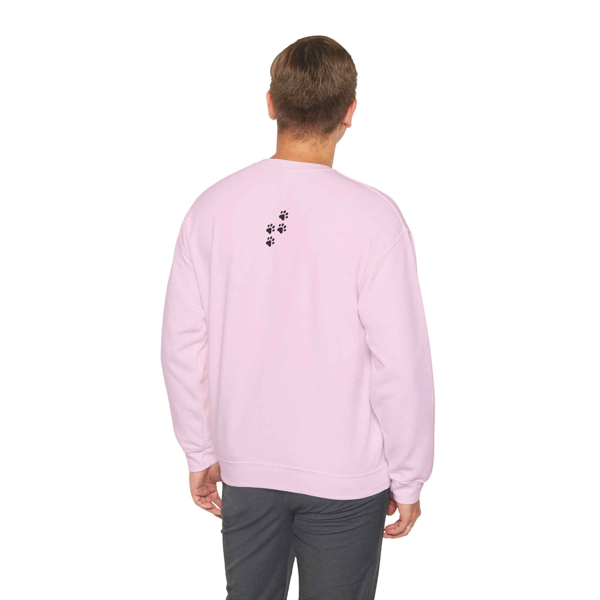 “Make America Purr Again” Parody Cat Sweatshirt