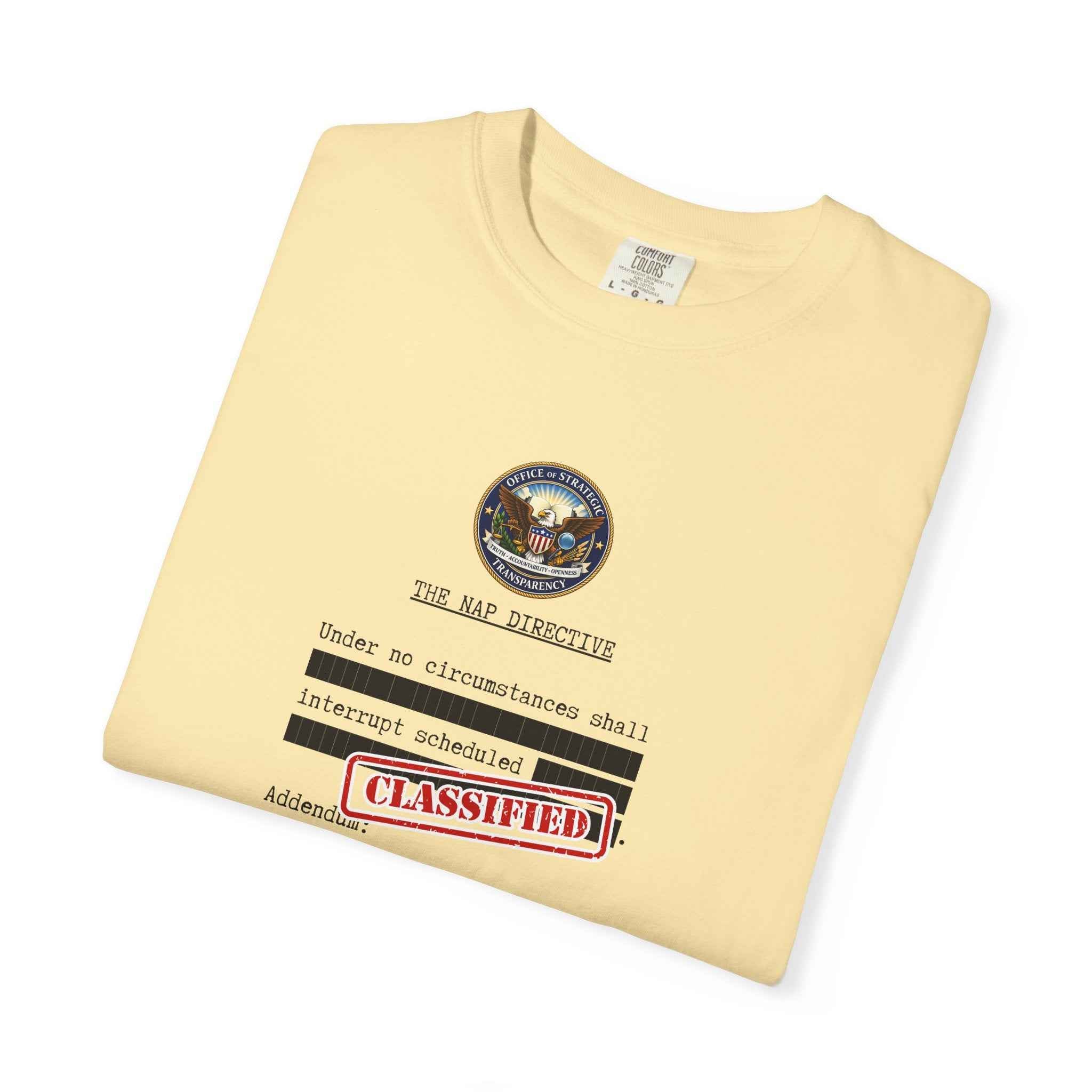 The Nap Directive Unisex T-Shirt – Official Rest Policy Graphic Tee